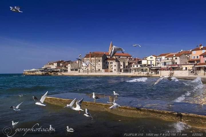 Apartment Ante Umag Kültér fotó